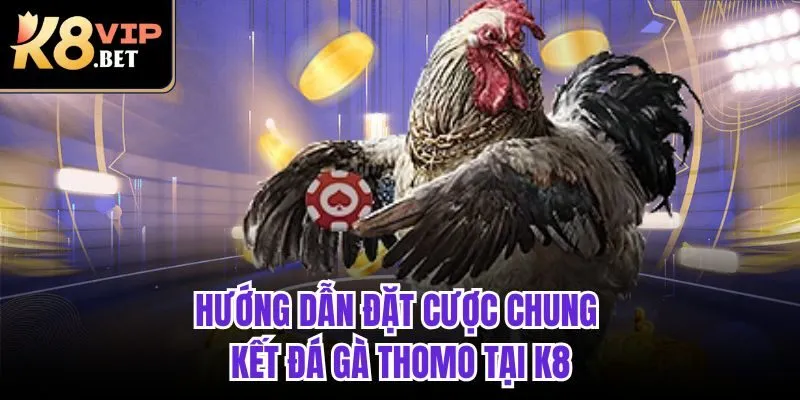 Hướng dẫn đặt cược chung kết đá gà Thomo tại K8